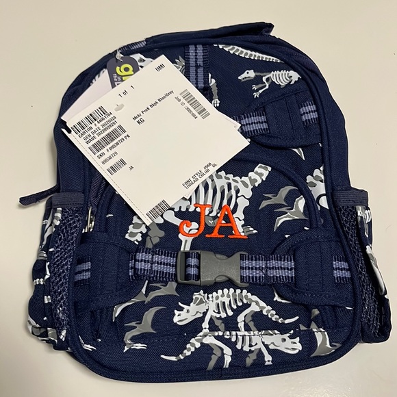 Pottery Barn Kids Accessories Mackenzie Navy Dino Bones
